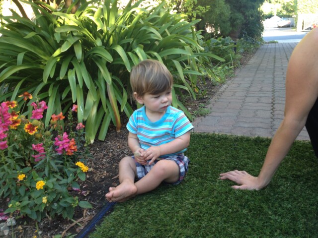 Sitting on the new faux lawn given to the neighbors by the landlord when they asked if we could plant grass