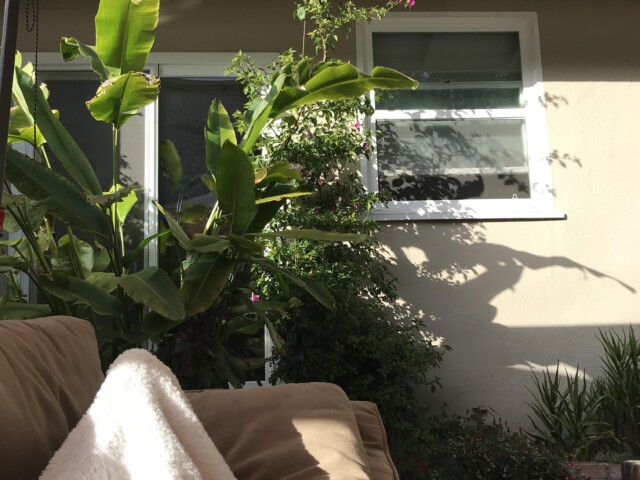 Reading and dozing on the outdoor couch